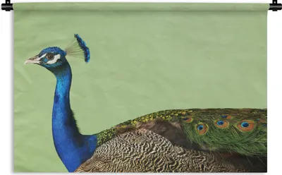 Produktbild von MuchoWow® Wandteppich Wandbehang Pfau - Tiere - Grün 90x60 cm Tapisserie Dekoration Wandtuch - Wandskulpturen - Bildteppich