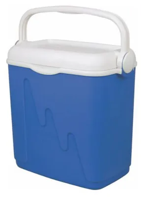 Kühlbox CURVER 20 Liter tragbar ohne Strom CRV159567
