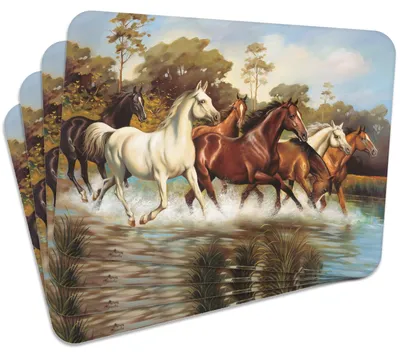 Produktbild von MG Design Set aus 4 Kork-Platzsets - Taboon - 30 x 40 cm - hitzebeständig & abwischbar, mit Korkrückseite