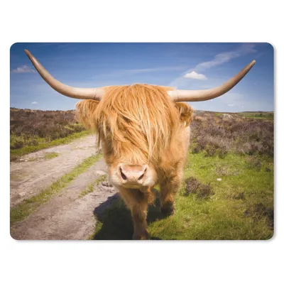 Produktbild von MuchoWow® Mauspad Mousepad Schottischer Highlander - Licht - Wiese 40x30 cm - Mousepads - Maus Mat - Pad - Mausunterlage - Anti Rutsch