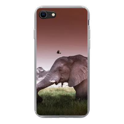 Produktbild von MuchoWow® Handyhülle Schutzhülle Hülle für iPhone 8 Elefant - Gras - Sonne - Tiere Silikon Softcase Handy Hülle - Schutzhaube