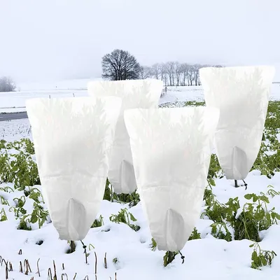 Productafbeelding van GIONAR, 4 stuks vorbeschermhoes voor planten, winterbescherming voor planten, winterbeschermingszakken met trekkoord, plantenhoes, vorstbeschermingsvlies, 80 x 60 cm