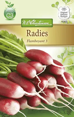 Produktbild von Radies Flamboyant 3 | Radieschensamen von N.L. Chrestensen