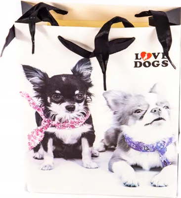 Produktbild von Geschenktüte Hunde Motiv - Mittlere Geschenkverpackung für Tierfreunde - 18x24x8cm Bunt