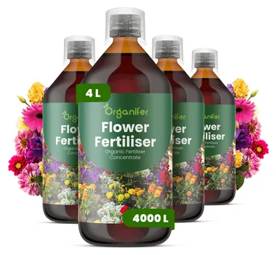 Obrázok produktu pre Flower – Tekuté hnojivo 4 x 1 L – Obsah živín: 3-4-3 (NPK) – Vhodné pre kvitnúce rastliny – Podporuje silnú štruktúru a bohaté kvitnutie – Posilňuje korene a vitalitu – Organický produkt