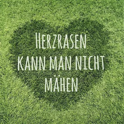 Produktbild von RP 20 Servietten Herzrasen kann man nicht mähen 33x33cm