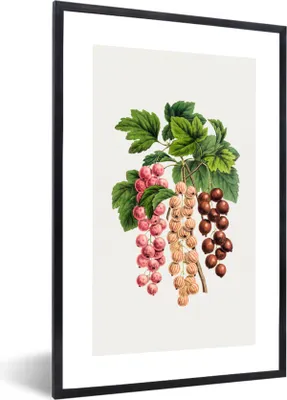Produktbild von MuchoWow® Gerahmtes Poster Obst - Beeren - Lebensmittel 40x60 cm - Poster mit Schwarzem Bilderrahmen Wandposter Rahmen Foto Bilder - Papierdruck - Wandbilder