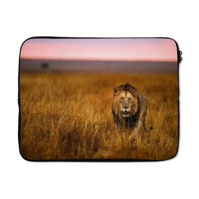 Produktbild von MuchoWow® Laptop Hülle 13 Zoll Löwe - Savanne - Gras Laptoptasche - Laptophülle - Sleeve - Rundumschutz