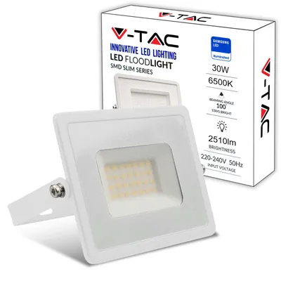 LED-Außenstrahler 30 W, 2510 Lumen, IP65, Aluminium, Kaltweiß 6500 K