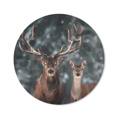 Produktbild von MuchoWow® Mauspad Mousepad Hirsche - Tiere - Winter - Geweih - Schnee - Natur 50x50 cm - Mousepads - Maus Mat - Pad - Mausunterlage - Vinyl