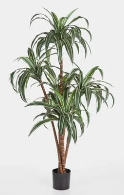 Produktbild von artplants.de Deko Dracaena, 6 stämmig, weiß - grün, 150cm - naturgetreue Kunstpalme - Dracaena künstlich