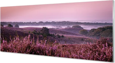 Produktbild von Glasbilder 125x50 Wandkunst Feld heathers