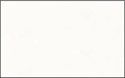 Produktbild von Elefantenhaut 110g/qm A4 VE=50 Blatt hochweiß
