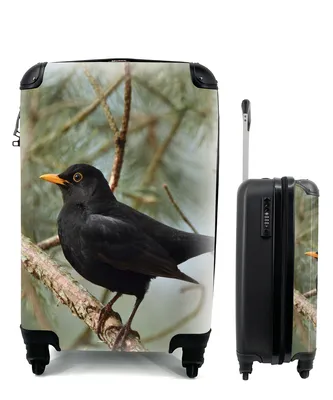 Produktbild von MuchoWow® Koffer Handgepäck Trolley Rollkoffer Kleine Reisekoffer mit 4 Rollen - Vogel - Amsel - Zweige - Tiere - Cabin Size < 55x40x23 cm & 55x40x20 cm - Fotokoffer - Kabinenkoffer - Boardgepäck - Reise-Box - Reisekoffer - Reisegepäck - Koffer mit Bild - Trolley für Kinder
