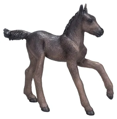 Produktbild von Mojo Fun Arabian Foal Black, 3 Jahr(e), HORSE WORLD, Schwarz, Polyvinylchlorid (PVC)