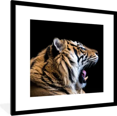 Produktbild von MuchoWow® Gerahmtes Poster Tiger - Tiere - Porträt 40x40 cm - Poster mit Schwarzem Bilderrahmen Wandposter Rahmen Foto Bilder - Poster - Plakat im Rahmen