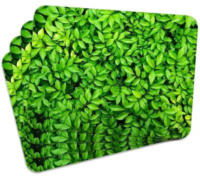 Produktbild von MG Design Set aus 4 Kork-Platzsets - Leaves 4 - 30 x 40 cm - hitzebeständig & abwischbar, mit Korkrückseite
