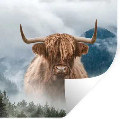 Produktbild von MuchoWow® Wandtattoo Wandsticker Wandaufkleber Schottischer Highlander - Nebel - Berg 30x30 cm Selbstklebend und Repositionierbar - Repositionierbar - Wasser abweisend