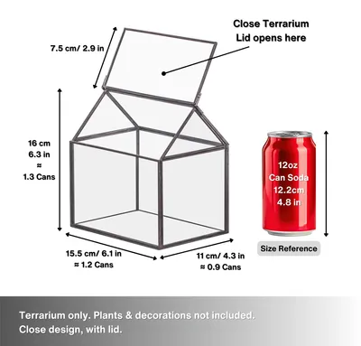 Imagen del producto de Terrario de vidrio geométrico, 15,5 x 11 x 16 cm, ideal para suculentas