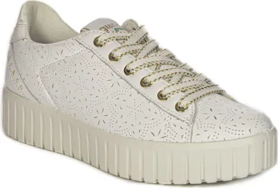 Zdjęcie produktu dla Buty IGI&CO 5666011