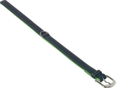 Produktbild von Nobby Pacífic, Hund, Standardkragen, Grün, Leder, Einfarbig, XS