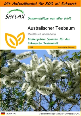 Produktbild von SAFLAX - Garden in the Bag - Australischer Teebaum - 400 Samen - Mit Anzuchtsubstrat im praktischen, selbst aufstellenden Beutel - Melaleuca alternifolia