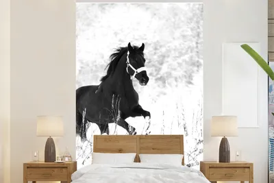 Produktbild von MuchoWow® Fototapete für Wohnzimmer oder Schlafzimmer Wandtapete Vinyl Motivtapete Pferd - Schnee - Winter - 200x300 cm - Wanddekorationen