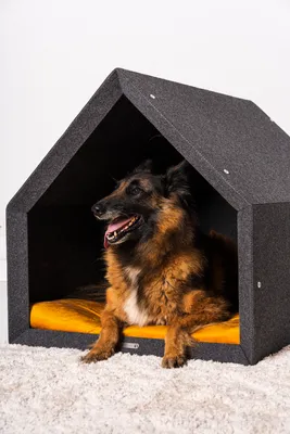 Zdjęcie produktu dla Rexproduct - PetHome 2.0 Domek dla psa, odporny na ugryzienia i zarysowania, izolacja akustyczna, ekologiczny, ciemny szary + żółty rozmiar L