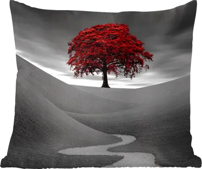 Produktbild von MuchoWow® Zierkissen Sofakissen Wohnzimmer Dekokissen 40x40 cm Schwarz-Weiß-Foto mit einem roten Baum - Foto Kissen - Schlafzimmer Dekoration