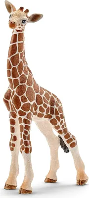 Produktbild von Schleich Wild Life - Junge Giraffe, Figur für Kinder ab 3 Jahren