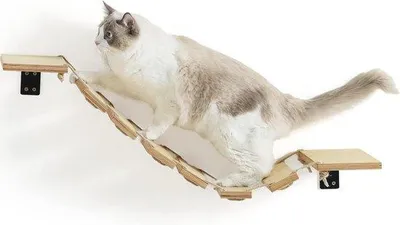Produktbild von Famanu Katzenwandbrücke mit Klettertreppe - 325 cm breit - DIY Katzenweg
