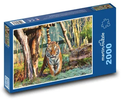 Obrázek produktu pro martinpuzzle - Puzzle 2000 - Tygr Ussurijský