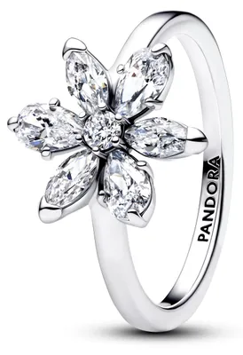 Immagine prodotto di Anello Pandora da donna Herbarium con fiore scintillante, argento 193000C02, misura 56