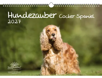 Produktbild von Hundezauber Cocker Spaniel DIN A3 Kalender für 2027 Welpen und Hunde - Seelenzauber