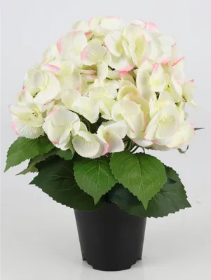 Produktbild von 6er Set künstliche Hortensie im Topf – naturgetreue Kunstpflanze, pflegefrei, ca. 30 cm Höhe
