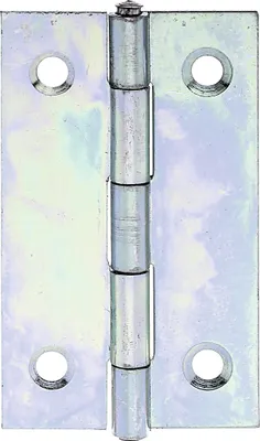 Produktbild von Alberts 849955 Scharnier | schmal | sendzimirverzinkt | 51 x 30 mm | 20er Set