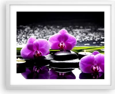 Produktbild von Gerahmtes Poster - Weißer Rahmen - Orchidee Natur Wasser Blume - 50x40 cm - Wand Bild - Wanddeko - Wandbilder - Wandposter - Bilderrahmen - Bilder - Kunstdruck - Wandbild - P2WAA50x40-2658