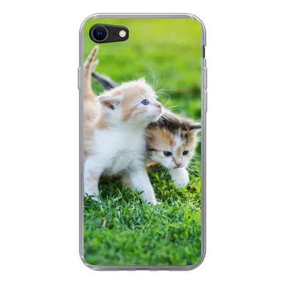 Produktbild von MuchoWow® Handyhülle Schutzhülle Hülle für iPhone SE 2020 Kätzchen - Katze - Korb - Mädchen - Kinder - Jungen - Kinder Silikon Softcase Handy Hülle - Kartenbesitzer