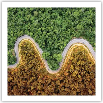 Produktbild von Poster - Poster ohne Rahmen - Luftaufnahmen Weg Wald - 60x60 cm - Wand Bild - Wanddeko - Wandbilder - Kunstposter - Wandposter - Bilder - Kunstdruck - Wanddekoration - Wandbild - P2XAC60x60-4659