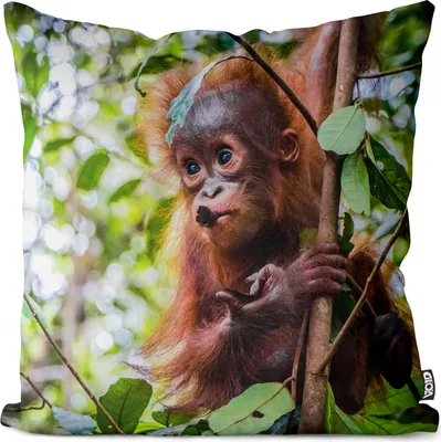 Produktbild von VOID Orangutan Affe Dschungel Kissenbezug Kissenhülle sofa couch wohnzimmer dekoration wasserfest Outdoor Kissen bezug deko