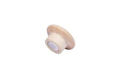 Obrázok produktu pre Legamaster 7-181725, Drevo,100%, 25 mm, 25 mm, 15,5 mm, 49,8 g
