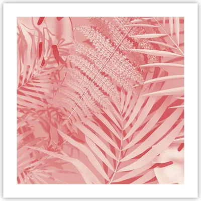 Produktbild von Poster - Poster ohne Rahmen - Rosa Blätter Palmen - 50x50 cm - Wand Bild - Wanddeko - Wandbilder - Kunstposter - Wandposter - Bilder - Kunstdruck - Wanddekoration - Wandbild - P2XAC50x50-4745