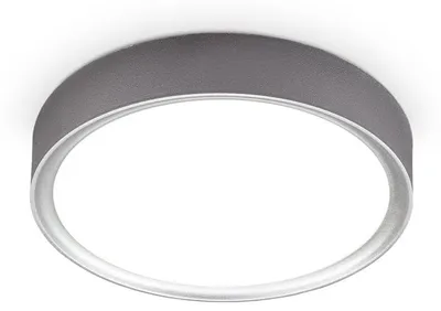 Image de Plafonnier LED 12 W I 4.000K I 25 cm de diamètre I 1.200 lumen I lumière blanche neutre I argent