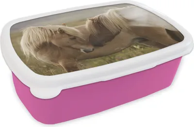 Produktbild von KitchenYeah® Lunchbox Brotzeit Brotdose 17x11 cm Pferde - Gras - Braun Kinder Brotzeitdose - Lunchpaket - Brotkasten  - Sandwich Box
