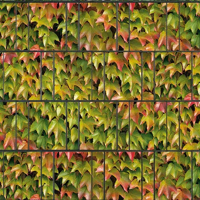 Produktbild von Bedruckter Sichtschutz BREISGAU Zaun Sichtschutzstreifen 2,5m x 2,0m