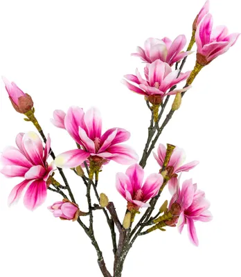 Image de Magnolia artificiel 75 cm