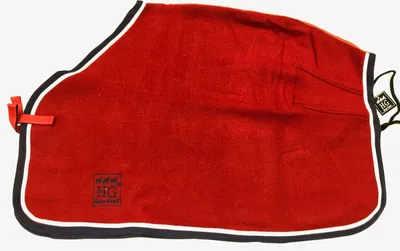 Produktbild von Horse Guard Pferde Nierendecke Nierenschutz Sattel Hinterblatt Ausreitdecke rot , Größe:XS