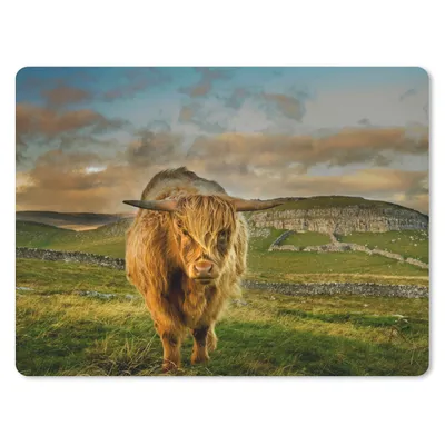 Produktbild von MuchoWow® Mauspad Mousepad Schottischer Highlander - Gras - Berg 23x19 cm - Mousepads - Maus Mat - Pad - Mausunterlage - Schreibtischunterlage - Mauspad