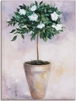 Produktbild von ARTland Leinwandbild Winterjasmin Größe: 90x120 cm