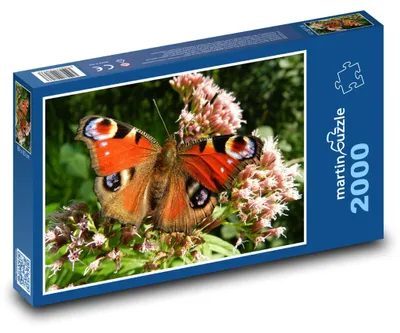 Zdjęcie produktu dla Puzzle 2000 Rusałka pawik na kwiecie - martinpuzzle
